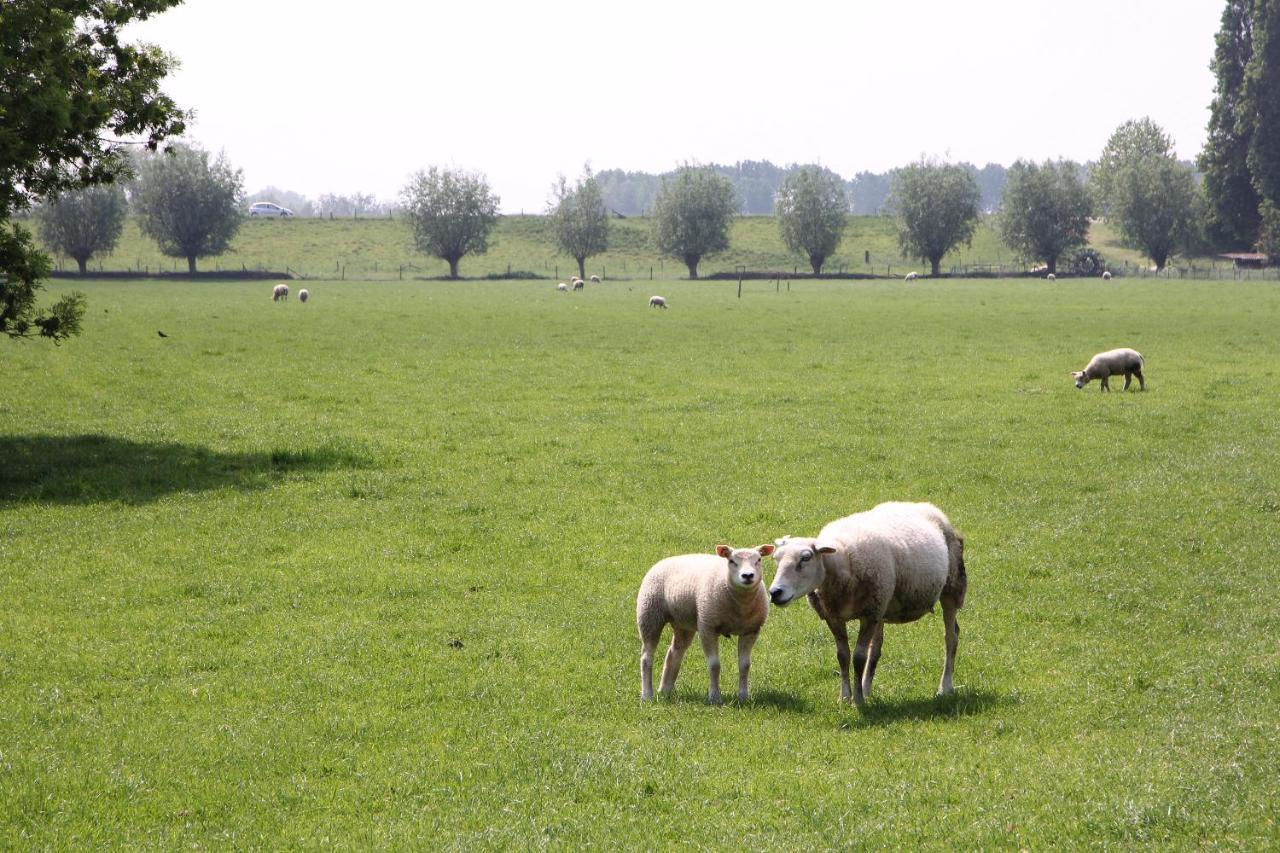 B&B Buitenwaard Oosterhout  Eksteriør bilde